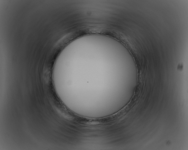 X0000096690741200802051037