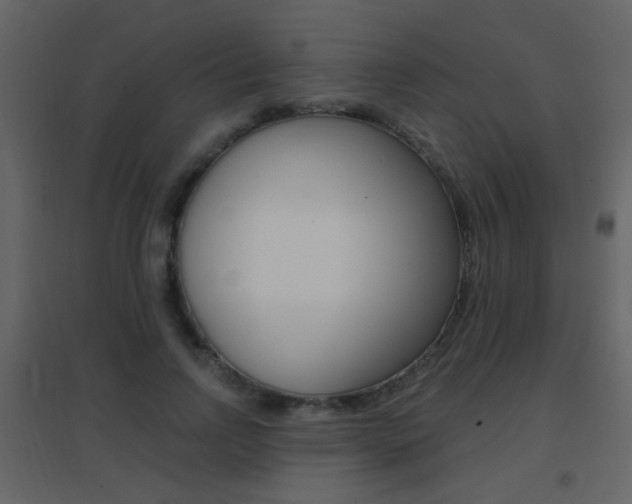 X0000096690742200802051037