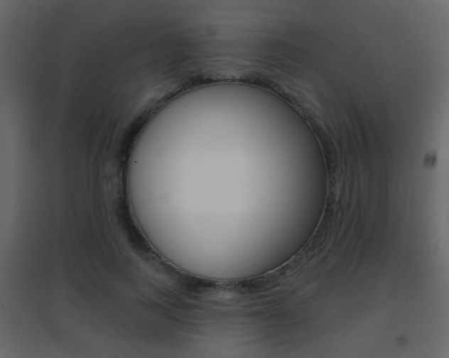 X0000096690743200802051037