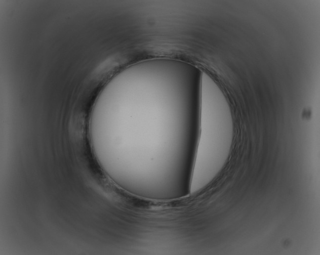 X0000096690744200802051037