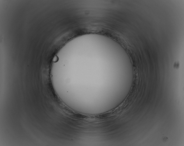 X0000096690745200802051037