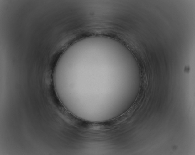 X0000096690746200802051037