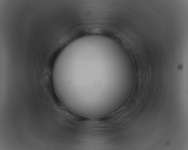 X0000096690747200802051037