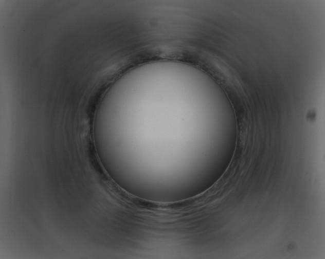 X0000096690748200802051037