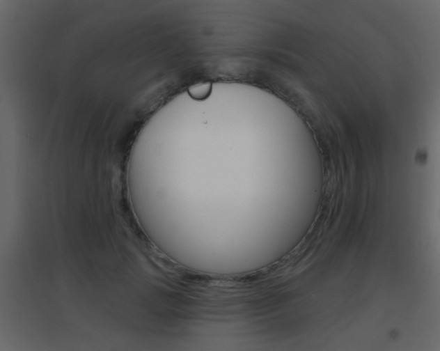 X0000096690749200802051037