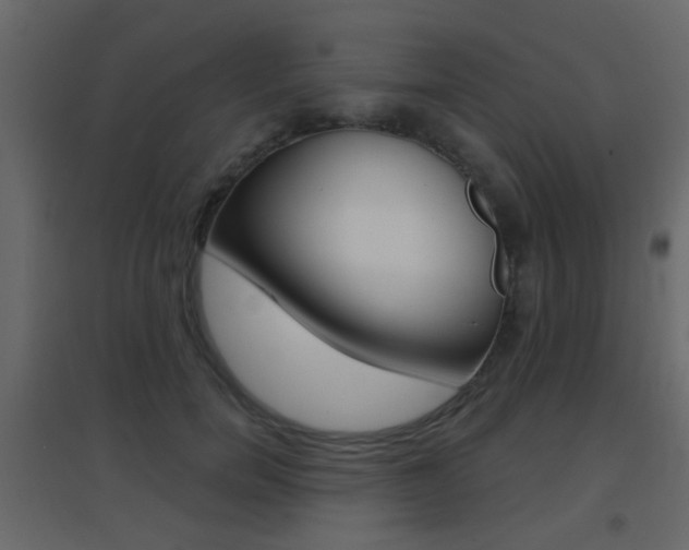 X0000096690750200802051037