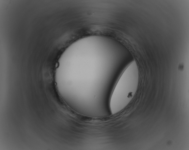 X0000096690751200802051037
