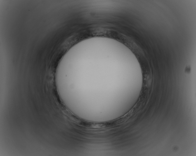 X0000096690753200802051037