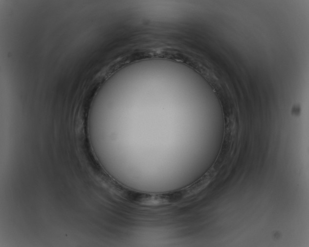 X0000096690754200802051037