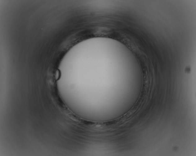 X0000096690755200802051037