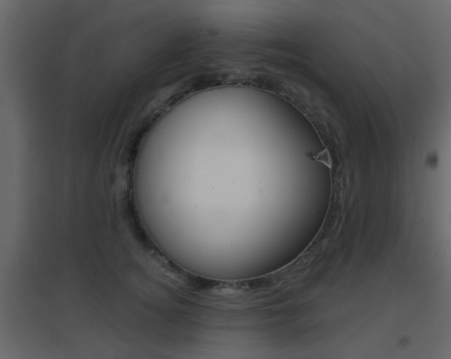 X0000096690756200802051037