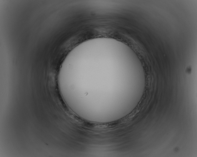 X0000096690757200802051037