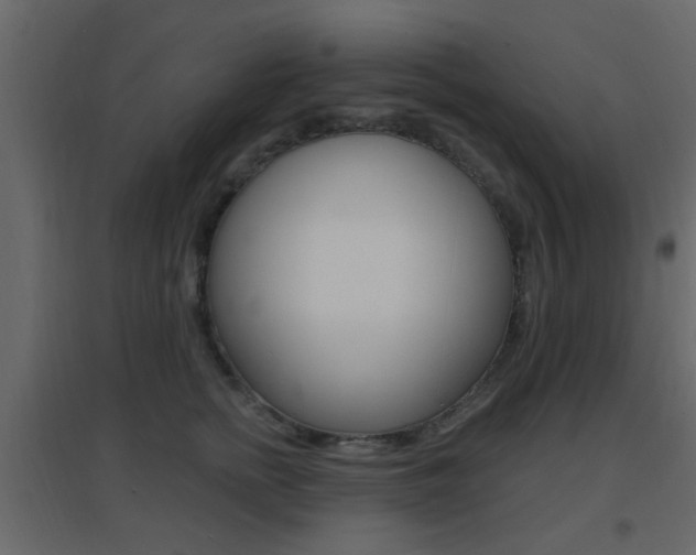 X0000096690758200802051037