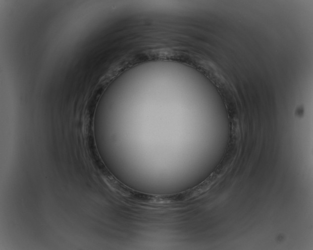 X0000096690760200802051037
