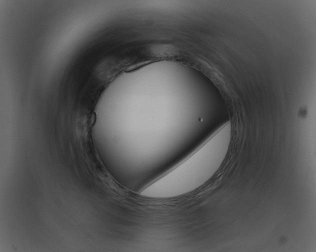 X0000096690762200802051037