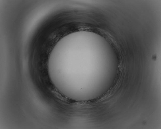 X0000096690763200802051037