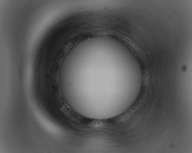 X0000096690764200802051037