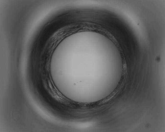 X0000096690765200802051037