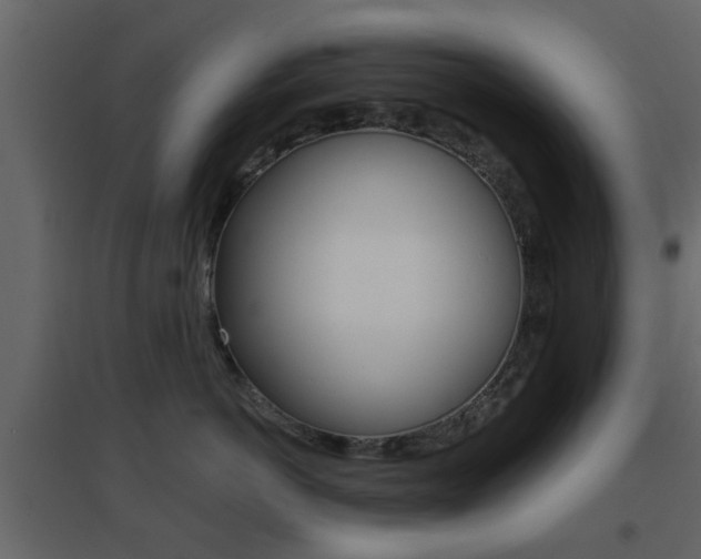 X0000096690766200802051037