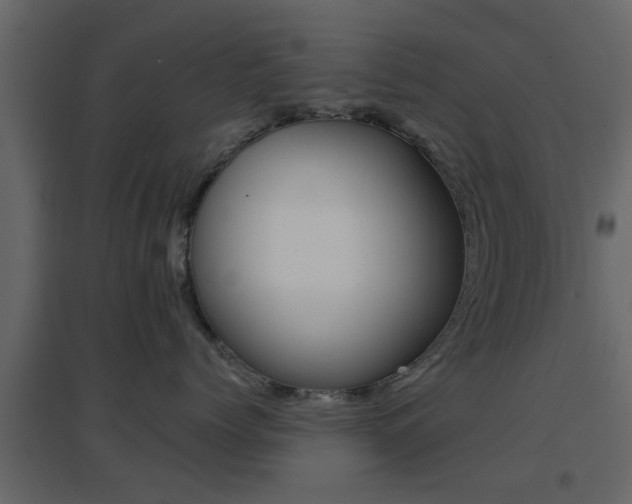 X0000096690768200802051037