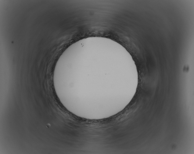 X0000096690769200802051036