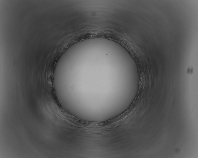 X0000096690770200802051036