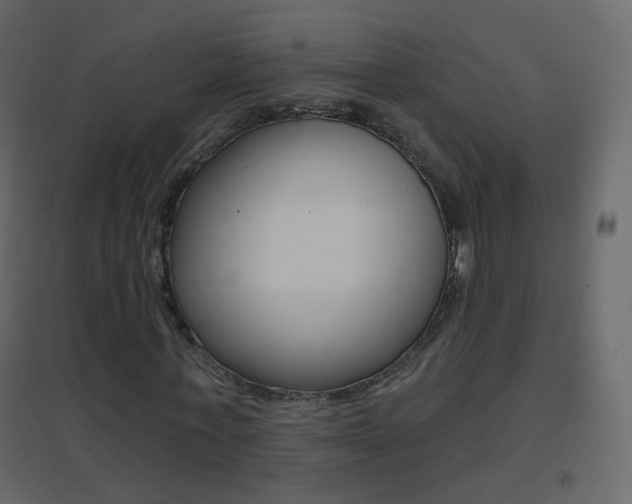 X0000096690771200802051036