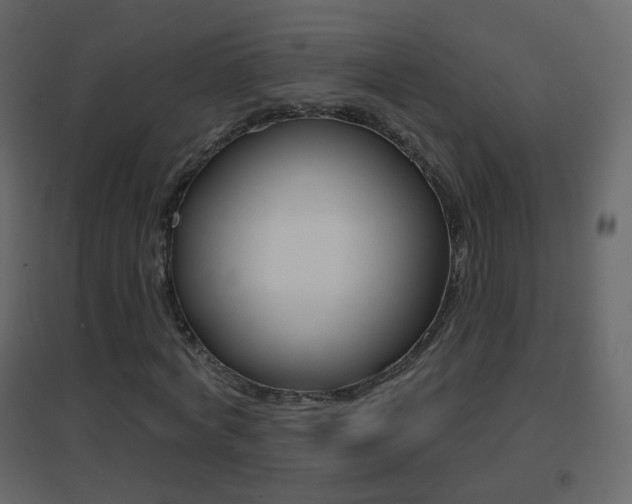 X0000096690772200802051036