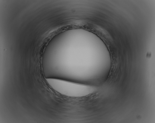 X0000096690773200802051036