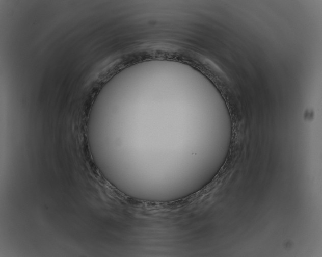 X0000096690774200802051036
