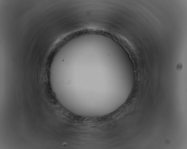 X0000096690776200802051036