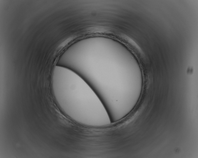 X0000096690777200802051036