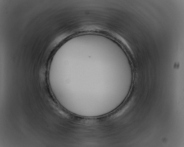 X0000096690778200802051036