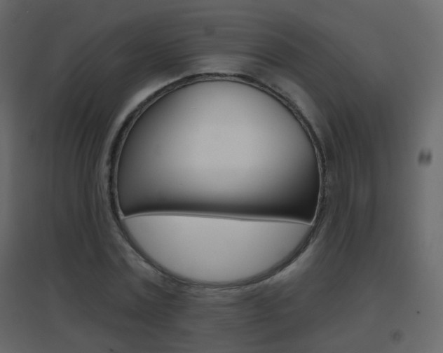X0000096690779200802051036