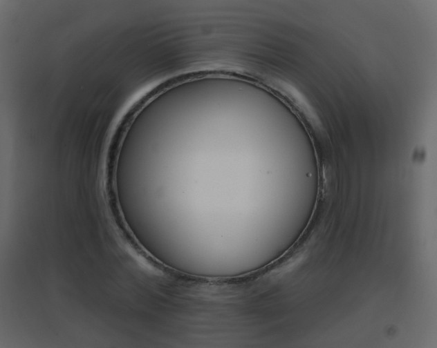 X0000096690780200802051036