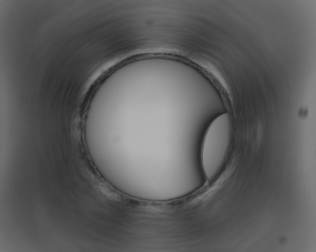 X0000096690781200802051036