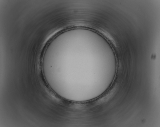 X0000096690782200802051036
