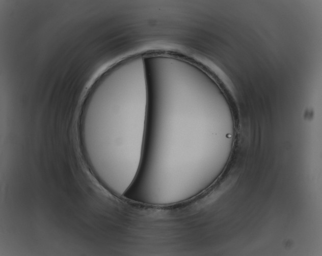X0000096690783200802051036