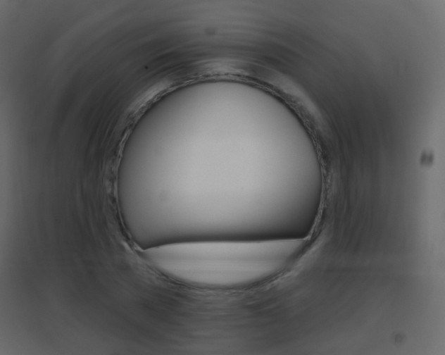 X0000096690785200802051036