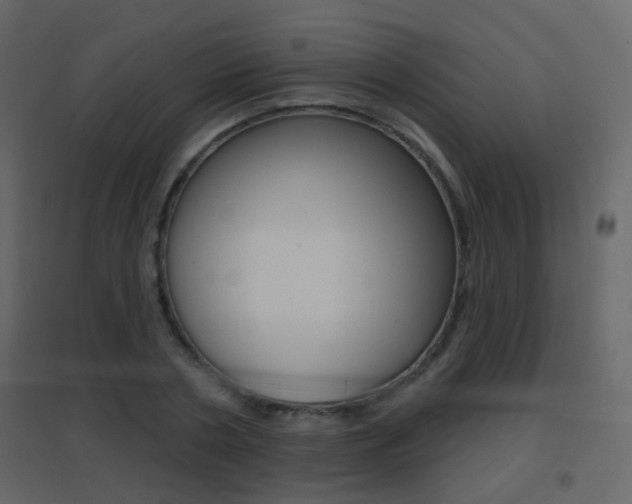 X0000096690786200802051036