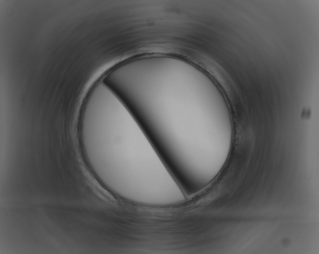 X0000096690787200802051036