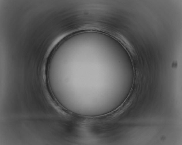 X0000096690788200802051036