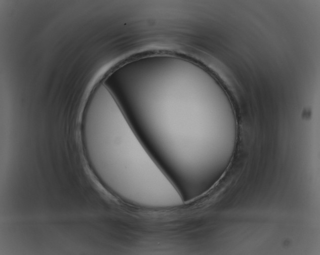 X0000096690791200802051036