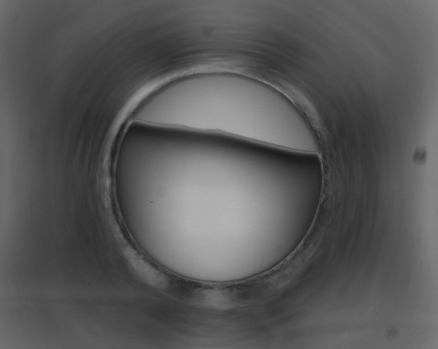 X0000096690792200802051036