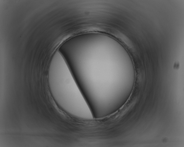 X0000096690793200802051036