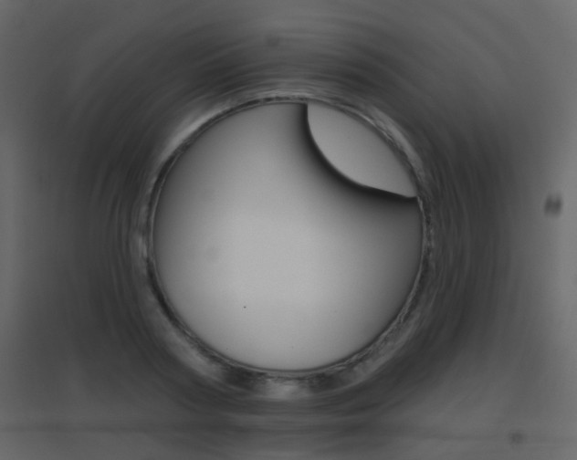 X0000096690794200802051036