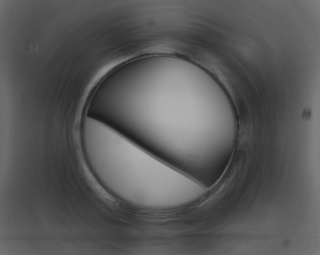 X0000096690795200802051036