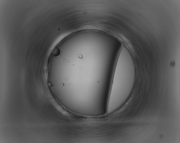 X0000096690796200802051036