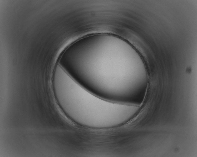 X0000096690797200802051036