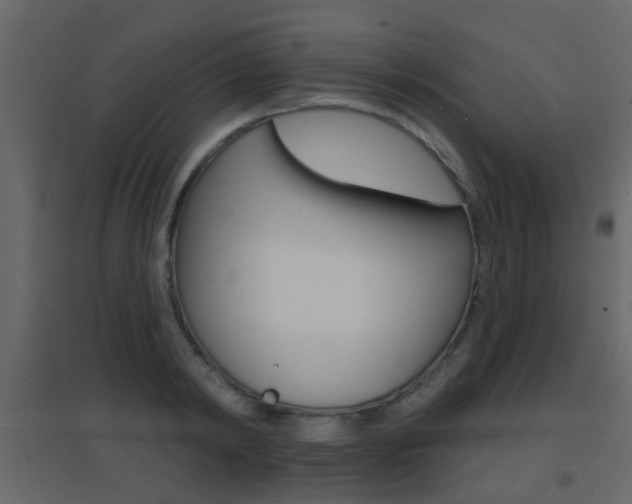 X0000096690798200802051036